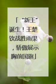 “新王”诞生！王楚钦战胜雨果，骄傲展示胸前国旗