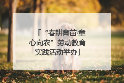 “春耕育苗·童心向农”劳动教育实践活动举办
