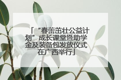 “春蕾茁壮公益计划”成长课堂暨助学金及装备包发放仪式在广西举行