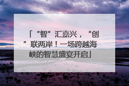 “智”汇嘉兴，“创”联两岸！一场跨越海峡的智慧盛宴开启