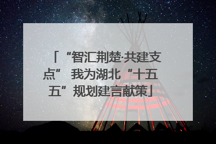 “智汇荆楚·共建支点” 我为湖北“十五五”规划建言献策