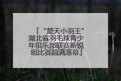 “楚天小羽王”湖北省羽毛球青少年俱乐部联赛新锐组比赛圆满落幕