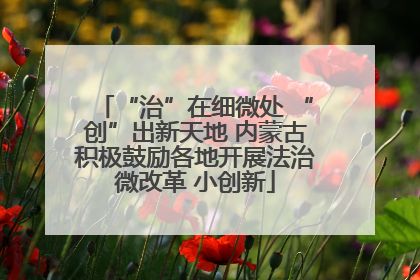“治”在细微处 “创”出新天地 内蒙古积极鼓励各地开展法治微改革 小创新