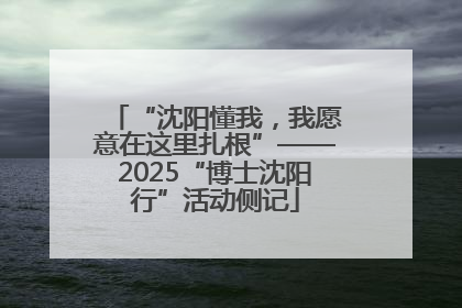“沈阳懂我，我愿意在这里扎根”——2025“博士沈阳行”活动侧记