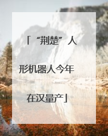 “荆楚”人形机器人今年在汉量产