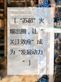 “苏超”火爆出圈，让“关注效应”成为“发展动力”