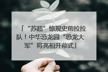 “苏超”惊现史前拉拉队！中华恐龙园“恐龙大军”将亮相开幕式