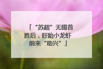 “苏超”无锡首胜后，盱眙小龙虾前来“助兴”