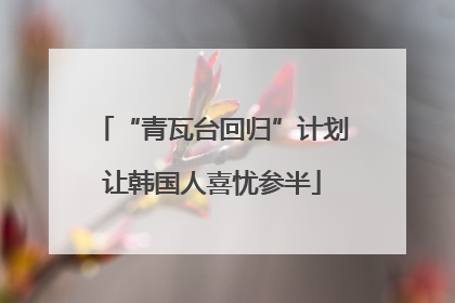 “青瓦台回归”计划让韩国人喜忧参半