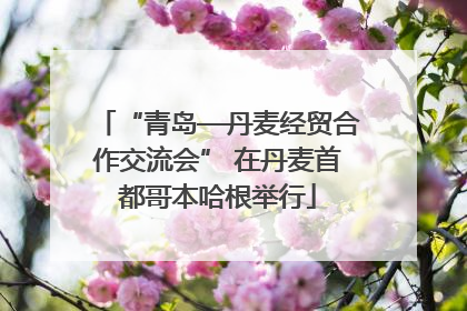 “青岛—丹麦经贸合作交流会” 在丹麦首都哥本哈根举行