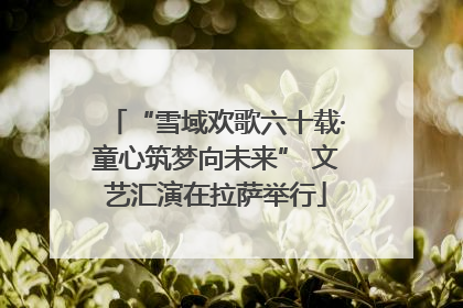 “雪域欢歌六十载·童心筑梦向未来” 文艺汇演在拉萨举行