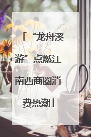 “龙舟溪游”点燃江南西商圈消费热潮