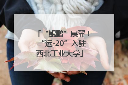 “鲲鹏”展翼！“运-20”入驻西北工业大学