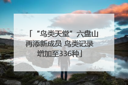 “鸟类天堂”六盘山再添新成员 鸟类记录增加至336种