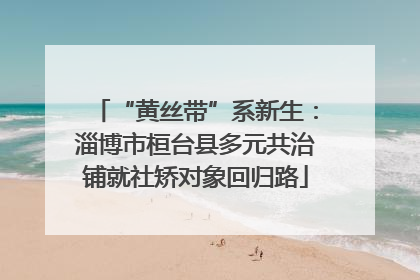 “黄丝带”系新生：淄博市桓台县多元共治铺就社矫对象回归路
