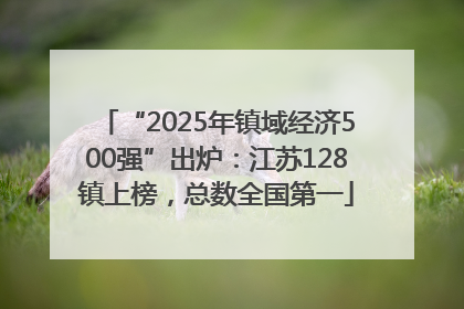 “2025年镇域经济500强”出炉：江苏128镇上榜，总数全国第一