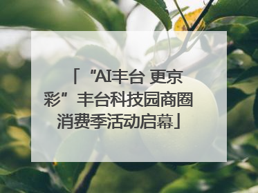 “AI丰台 更京彩”丰台科技园商圈消费季活动启幕