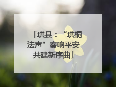 珙县：“珙桐法声”奏响平安共建新序曲
