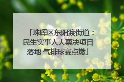 珠晖区东阳渡街道：民生实事人大票决项目落地 气排球赛点燃