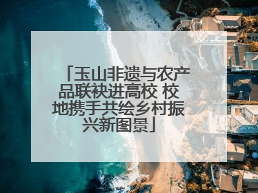 玉山非遗与农产品联袂进高校 校地携手共绘乡村振兴新图景