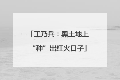 王乃兵：黑土地上“种”出红火日子