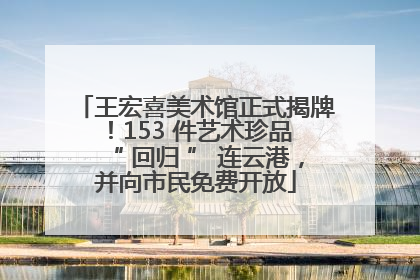 王宏喜美术馆正式揭牌！153 件艺术珍品 “ 回归 ” 连云港，并向市民免费开放