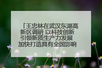 王忠林在武汉东湖高新区调研 以科技创新引领新质生产力发展 加快打造具有全国影响力的科技创新高地