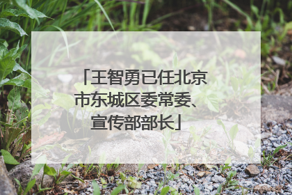 王智勇已任北京市东城区委常委、宣传部部长