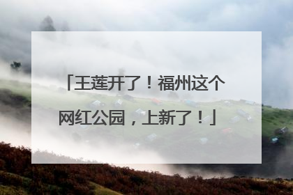 王莲开了！福州这个网红公园，上新了！