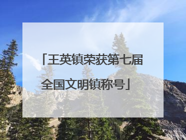 王英镇荣获第七届全国文明镇称号