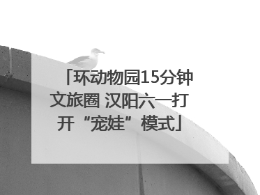 环动物园15分钟文旅圈 汉阳六一打开“宠娃”模式