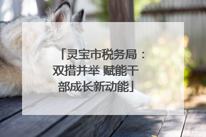 灵宝市税务局：双措并举 赋能干部成长新动能