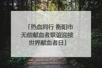 热血同行 衡阳市无偿献血者联谊迎接世界献血者日