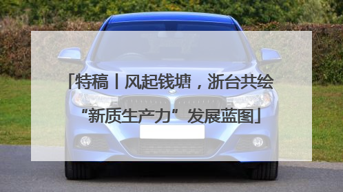 特稿丨风起钱塘，浙台共绘“新质生产力”发展蓝图