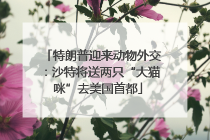 特朗普迎来动物外交：沙特将送两只“大猫咪”去美国首都