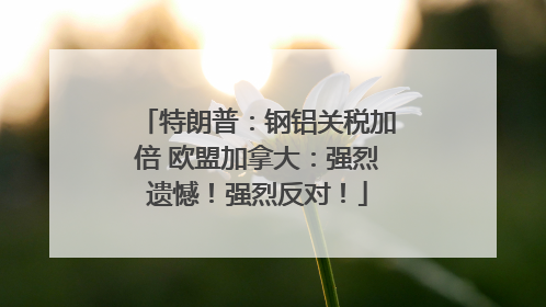 特朗普：钢铝关税加倍 欧盟加拿大：强烈遗憾！强烈反对！