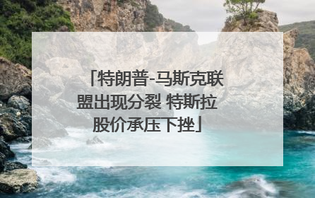 特朗普-马斯克联盟出现分裂 特斯拉股价承压下挫