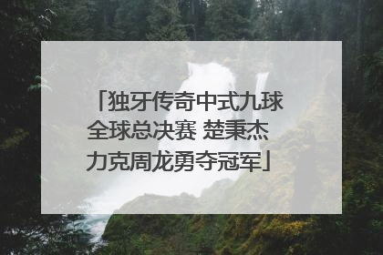独牙传奇中式九球全球总决赛 楚秉杰力克周龙勇夺冠军