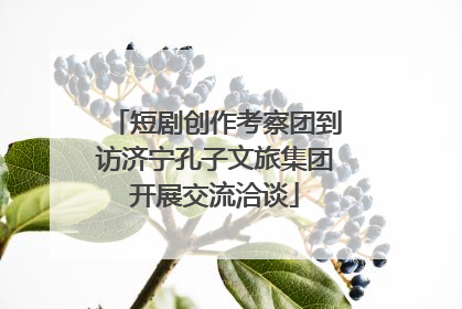 短剧创作考察团到访济宁孔子文旅集团开展交流洽谈