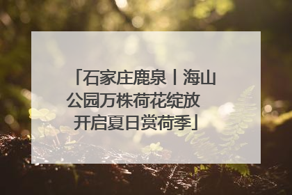石家庄鹿泉丨海山公园万株荷花绽放 开启夏日赏荷季