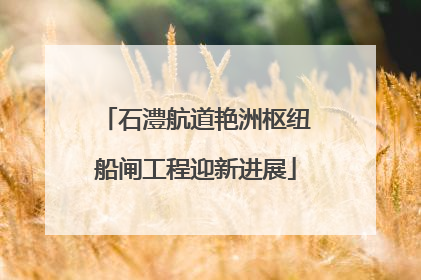 石澧航道艳洲枢纽船闸工程迎新进展