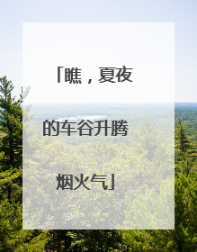 瞧，夏夜的车谷升腾烟火气