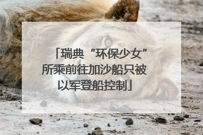瑞典“环保少女”所乘前往加沙船只被以军登船控制