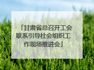 甘肃省总召开工会联系引导社会组织工作现场推进会