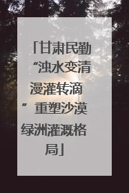 甘肃民勤“浊水变清 漫灌转滴”重塑沙漠绿洲灌溉格局