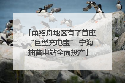 甬绍舟地区有了首座“巨型充电宝” 宁海抽蓄电站全面投产