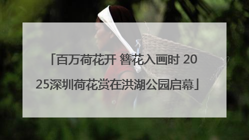百万荷花开 簪花入画时 2025深圳荷花赏在洪湖公园启幕