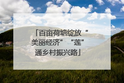 百亩荷塘绽放“美丽经济”“莲”通乡村振兴路