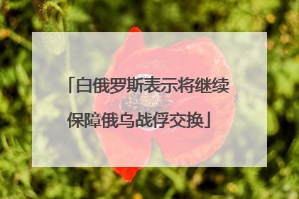 白俄罗斯表示将继续保障俄乌战俘交换