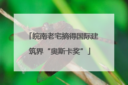 皖南老宅摘得国际建筑界“奥斯卡奖”
